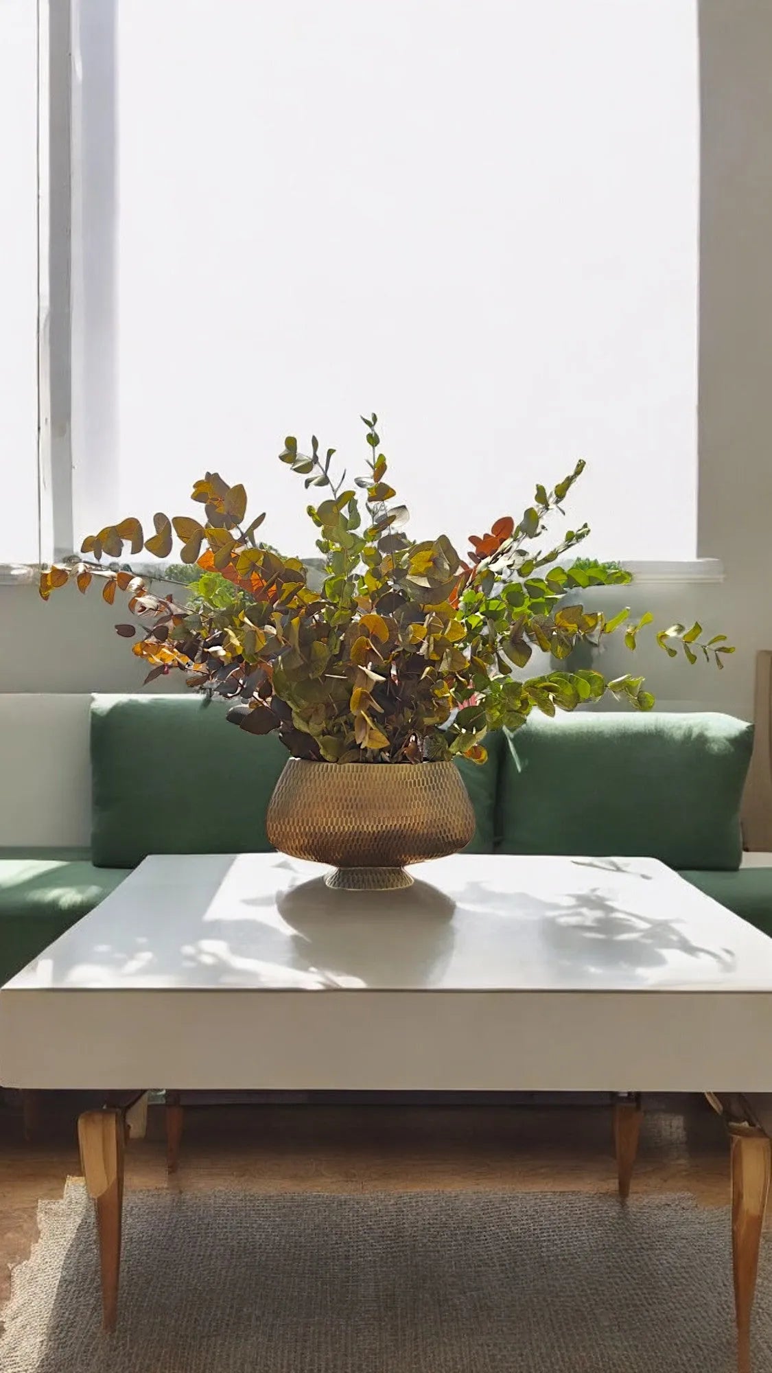 Eternal Eucalyptus